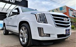 5234e4ac-3e30-415c-a6b5-3f5d665d012a