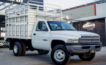 Dodge-Ram-4000-Doble-Rodado-2002-Blanco-1